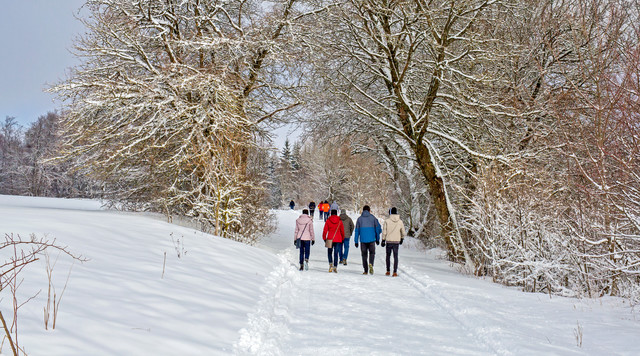 Winterwandern in Albstadt