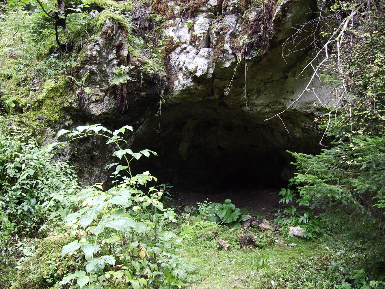 Kühstellenhöhlen 